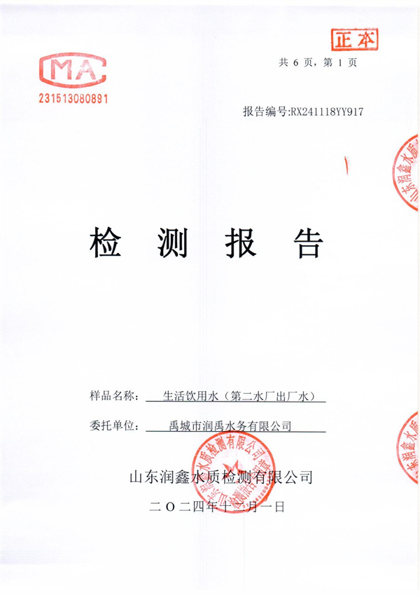 RX241118YY917 二厂出水检测报告-1.jpg