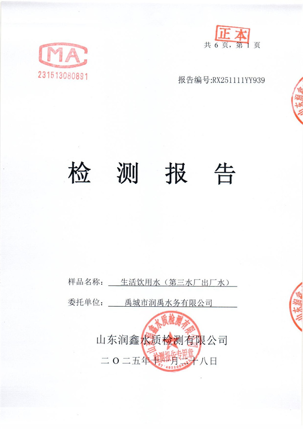 RX251111YY939 三厂出水检测报告-1.jpg